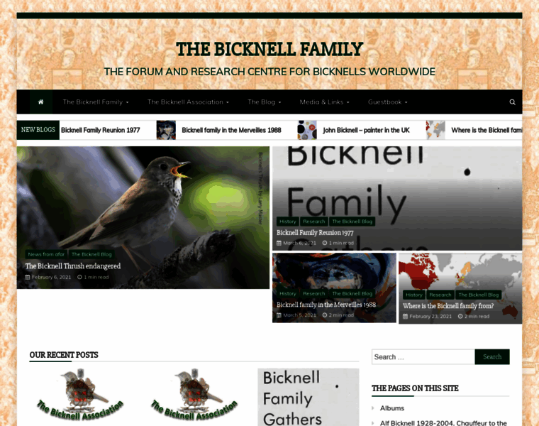 Bicknell.net thumbnail