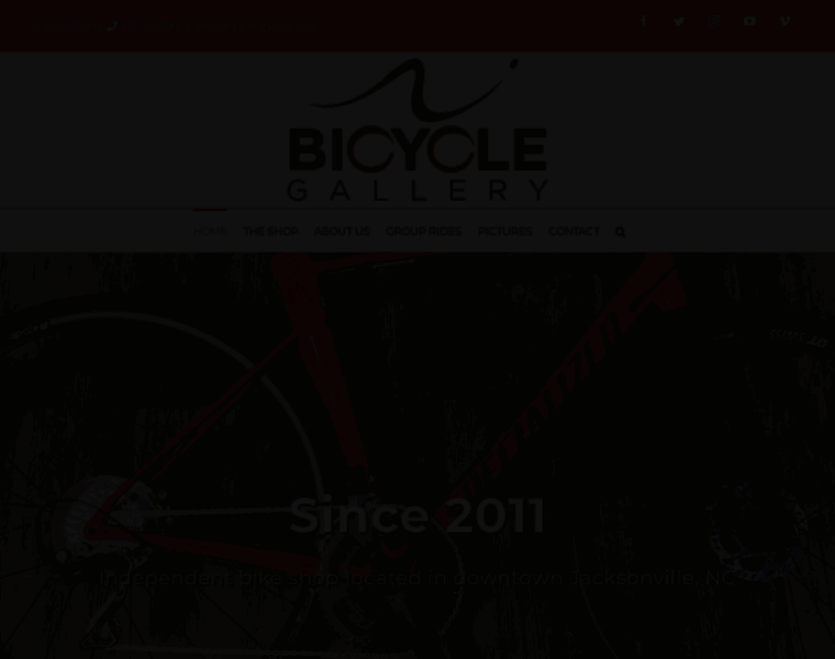 Bicycle-gallery.com thumbnail