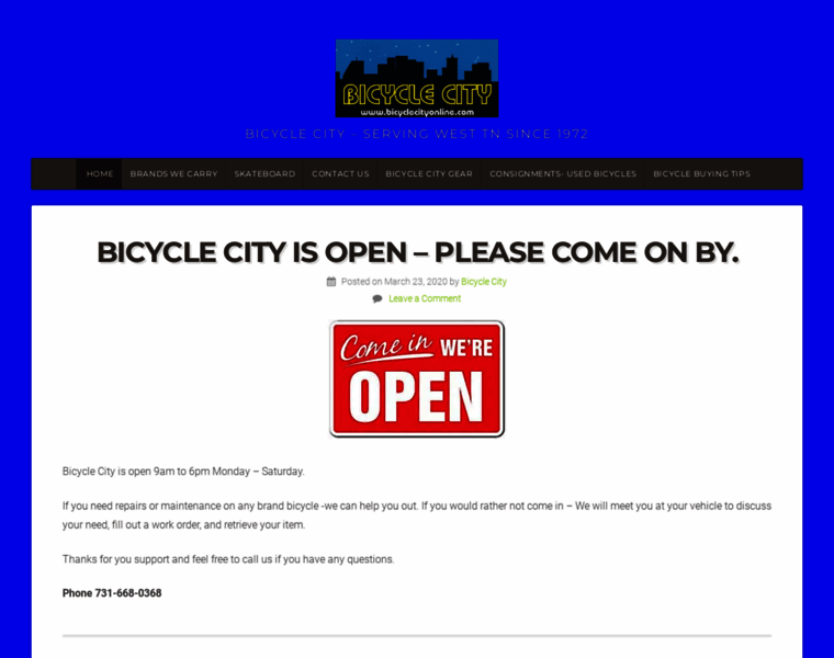 Bicyclecityonline.com thumbnail