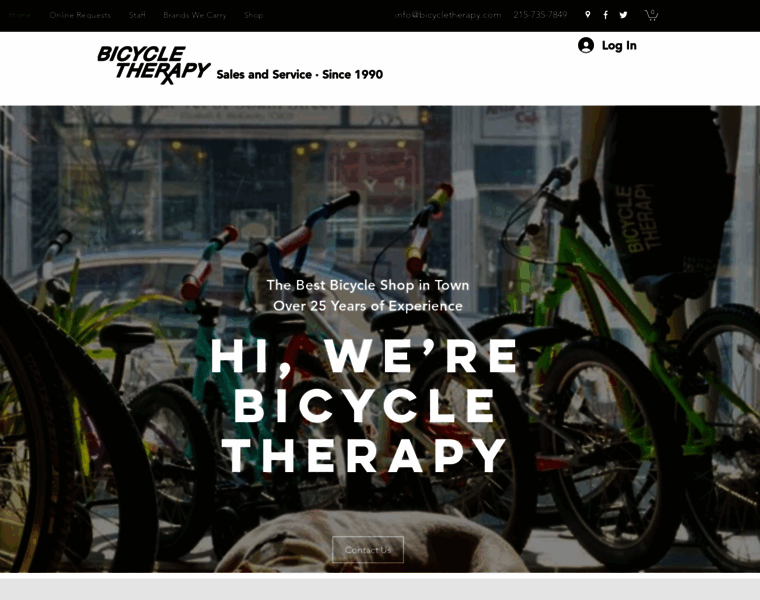 Bicycletherapy.com thumbnail