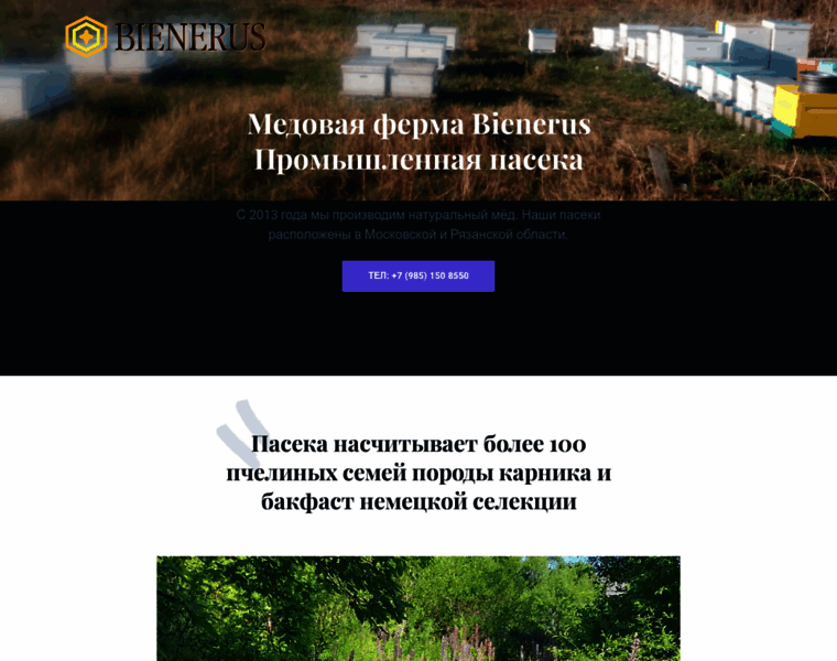 Bienerus.ru thumbnail