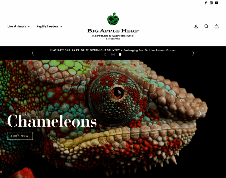 Bigappleherp.com thumbnail Bigappleherp.com thumbnail