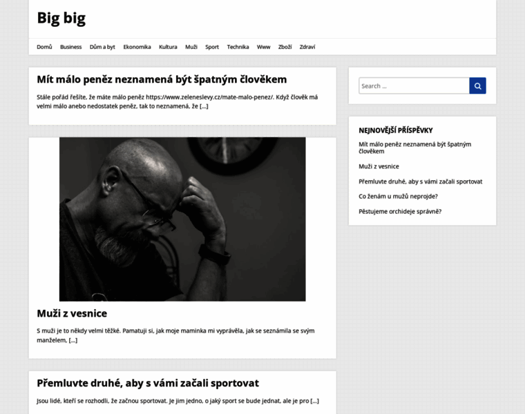 Bigbig.cz thumbnail