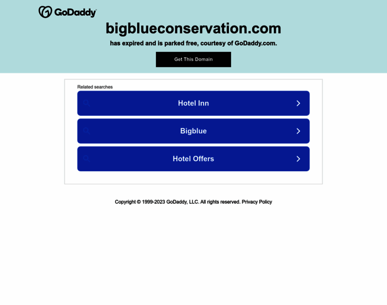 Bigblueconservation.com thumbnail