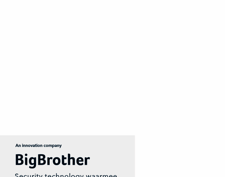 Bigbrother.nl thumbnail
