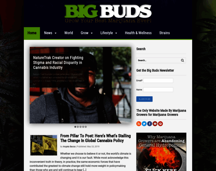 Bigbudsmag.com thumbnail