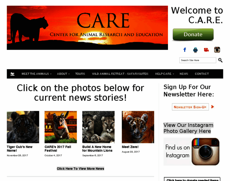 Bigcatcare.org thumbnail