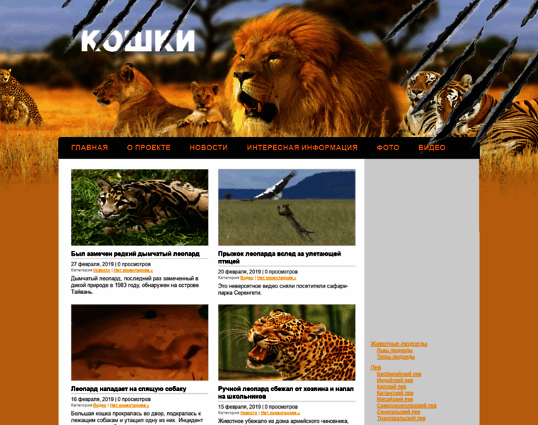 Bigcatfiles.info thumbnail