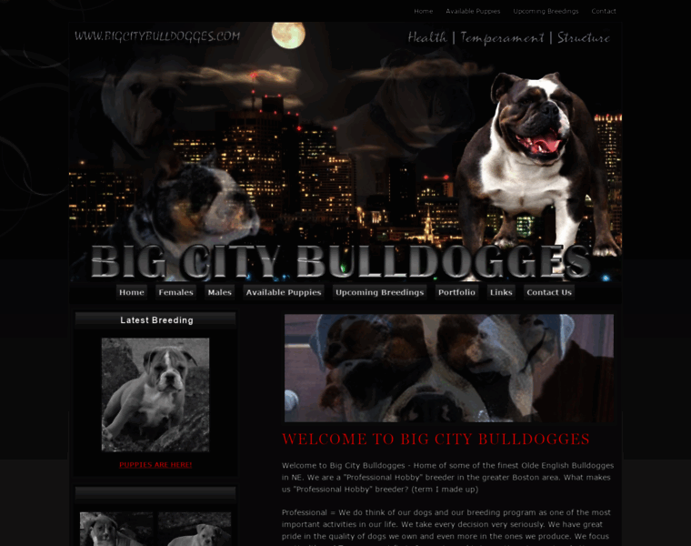Bigcitybulldogges.com thumbnail