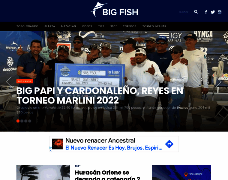 Bigfish.mx thumbnail
