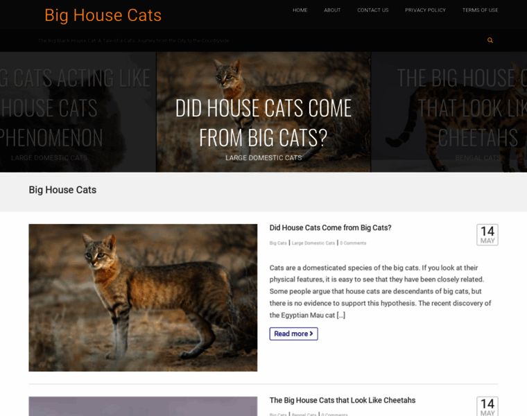 Bighousecats.com thumbnail
