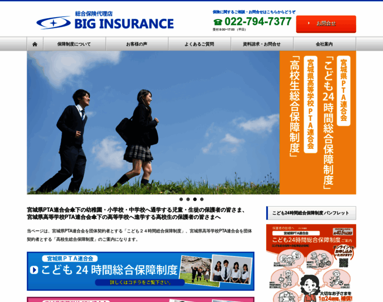 Biginsurance.co.jp thumbnail
