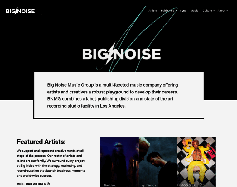 Bignoise.com thumbnail