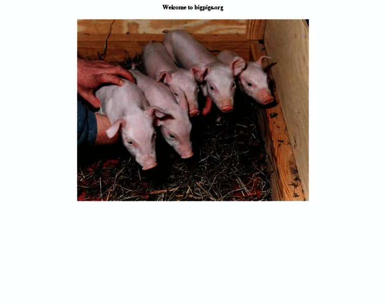 Bigpigs.org thumbnail Bigpigs.org thumbnail