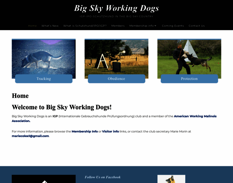 Bigskyschutzhund.com thumbnail