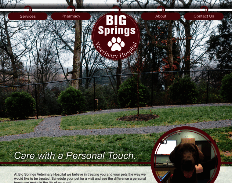 Bigspringsvet.com thumbnail