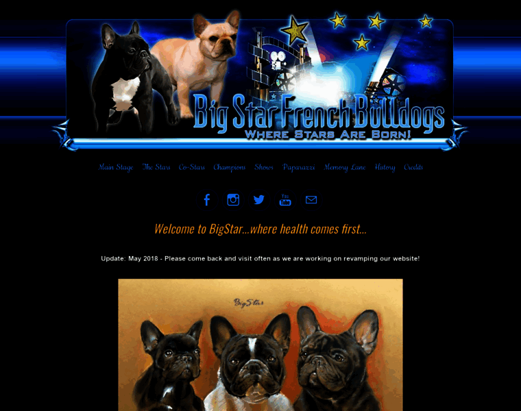 Bigstarbulldogs.com thumbnail