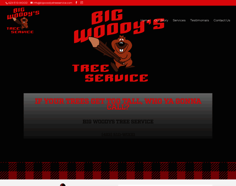 Bigwoodystreeservice.com thumbnail