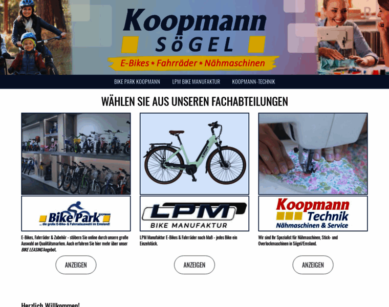 Bikepark-koopmann.de thumbnail