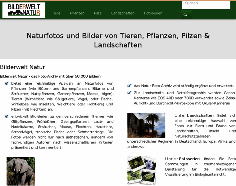 Bilderwelt-natur.de thumbnail