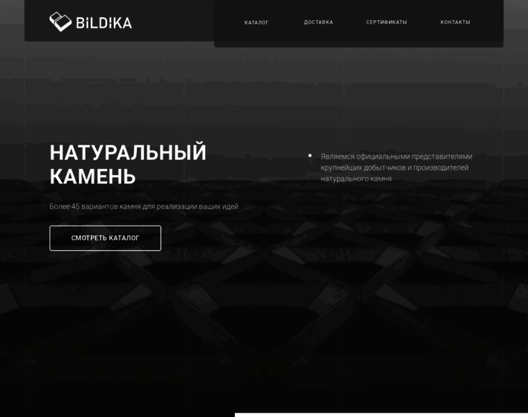 Bildika.ru thumbnail