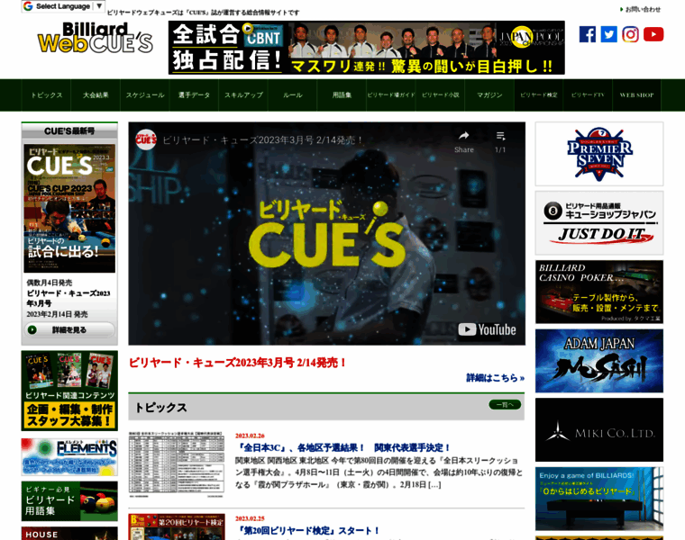 Billiards-cues.jp thumbnail