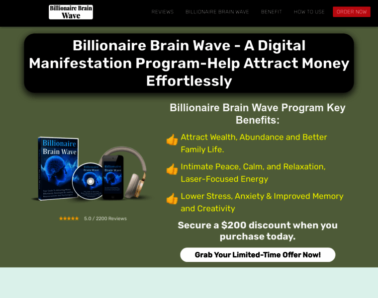 Billionaire-brain-wave.us thumbnail