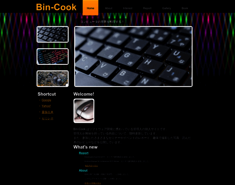 Bin-cook.com thumbnail