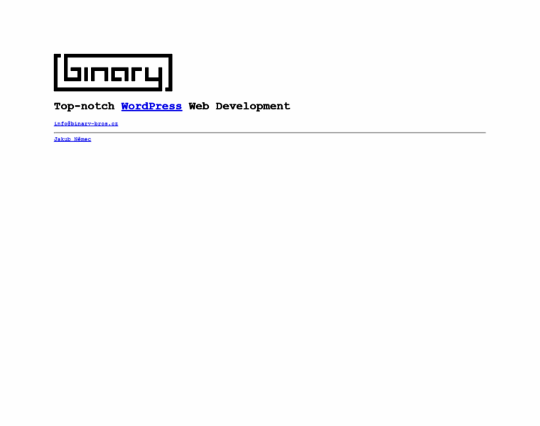 Binary-bros.cz thumbnail