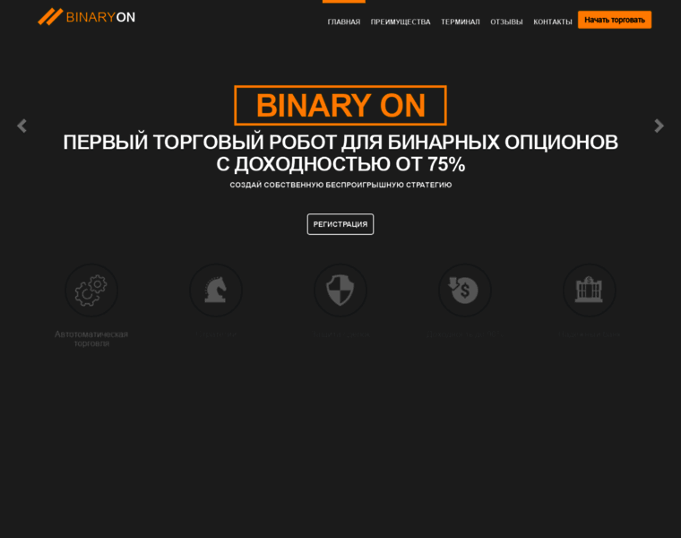 Binaryon.ru thumbnail