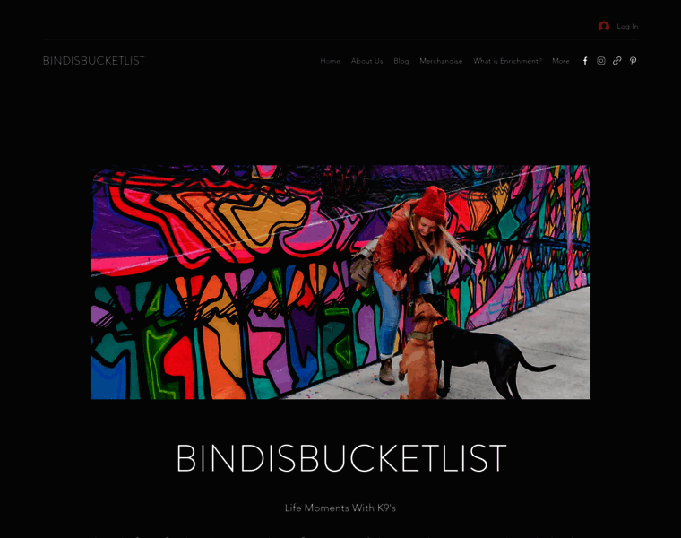 Bindisbucketlist.com thumbnail