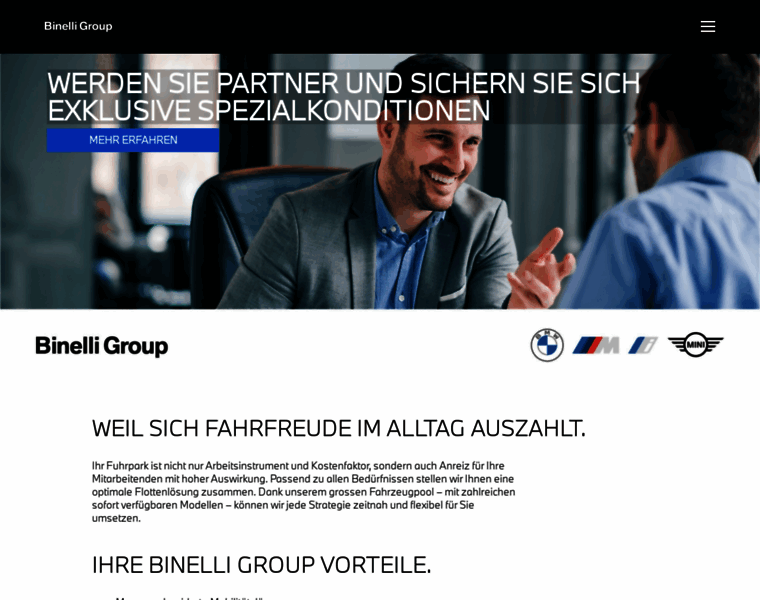 Binelligroup-fleet.ch thumbnail