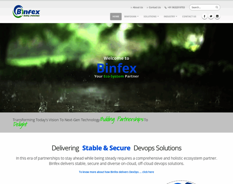 Binfex.com thumbnail