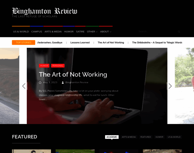 Binghamtonreview.com thumbnail