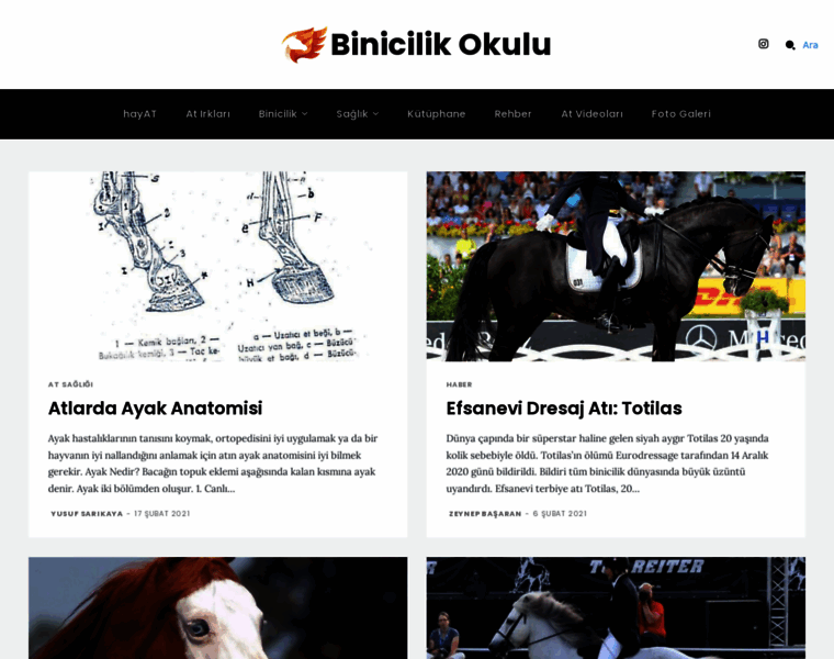 Binicilikokulu.com thumbnail