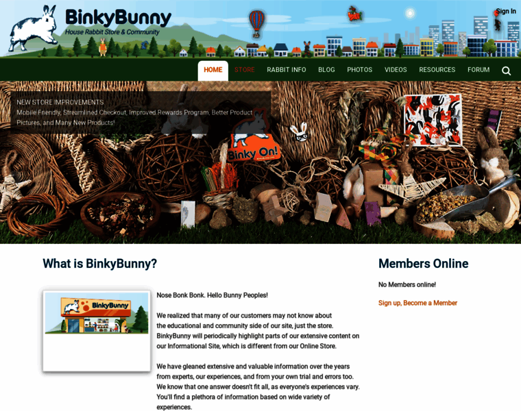 Binkybunny.com thumbnail