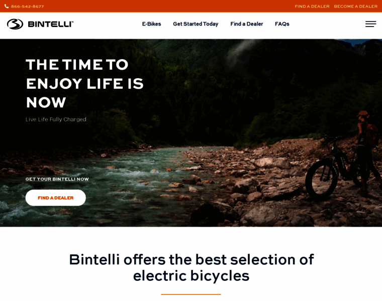 Bintellibicycles.com thumbnail Bintellibicycles.com thumbnail