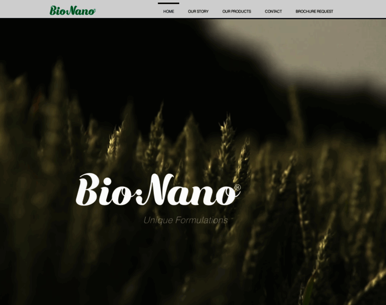 Bio-nanosciences.com thumbnail