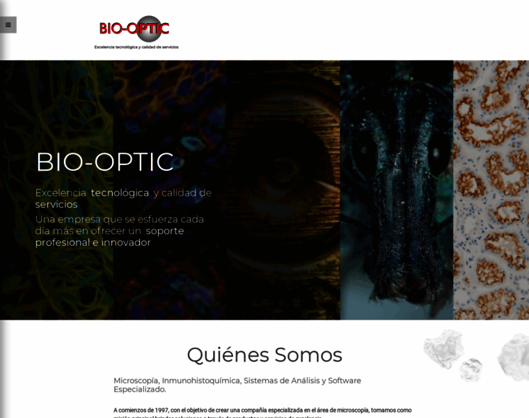 Bio-optic.com thumbnail
