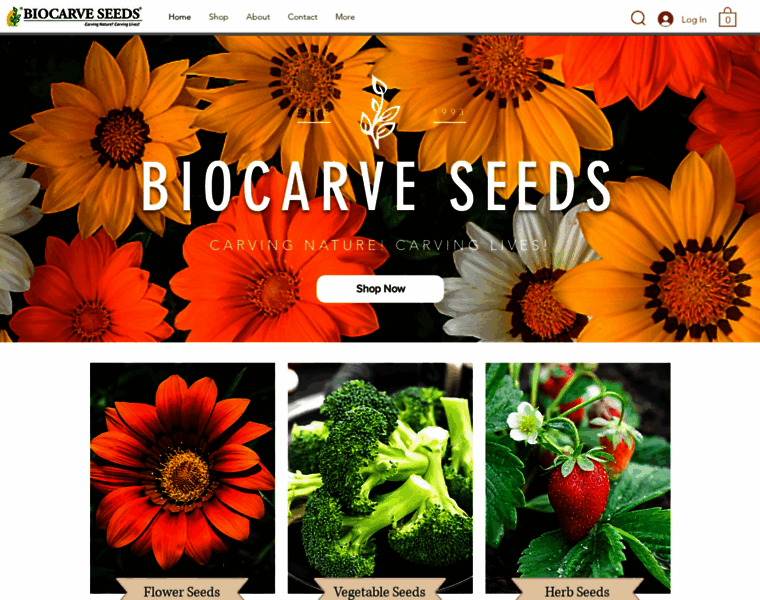 Biocarve.com thumbnail