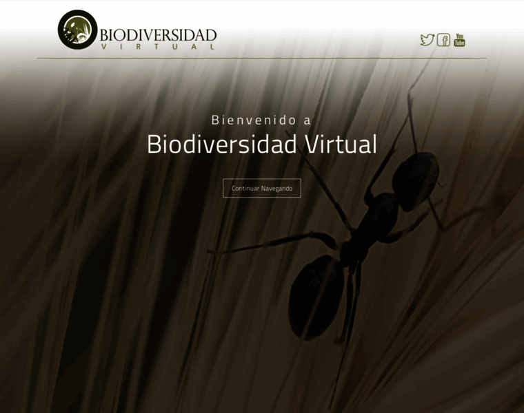 Biodiversidadvirtual.com thumbnail