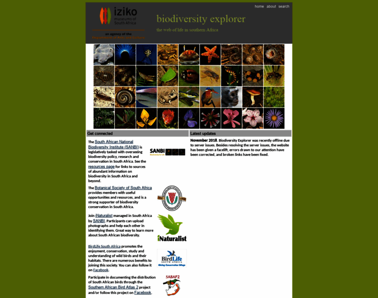 Biodiversityexplorer.info thumbnail
