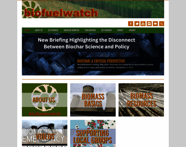 Biofuelwatch.org.uk thumbnail