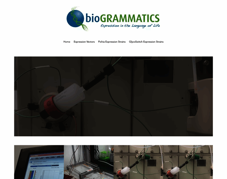 Biogrammatics.com thumbnail
