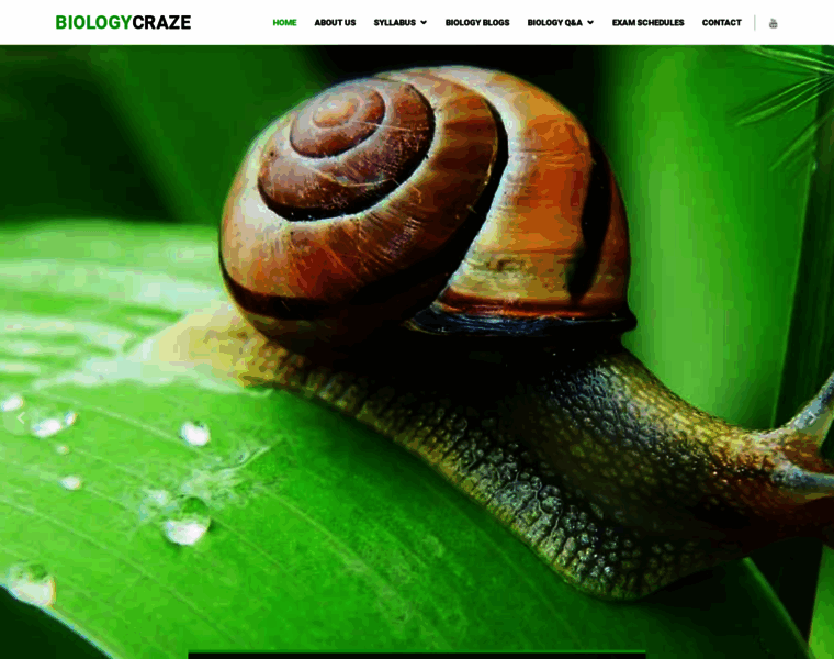 Biologycraze.com thumbnail