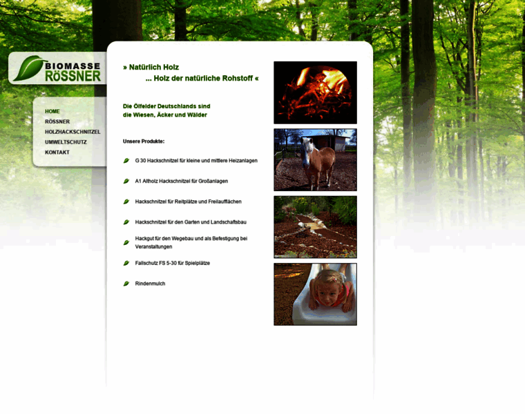 Biomasse-roessner.de thumbnail