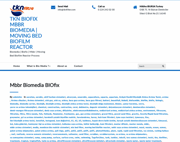 Biomedia.xyz thumbnail