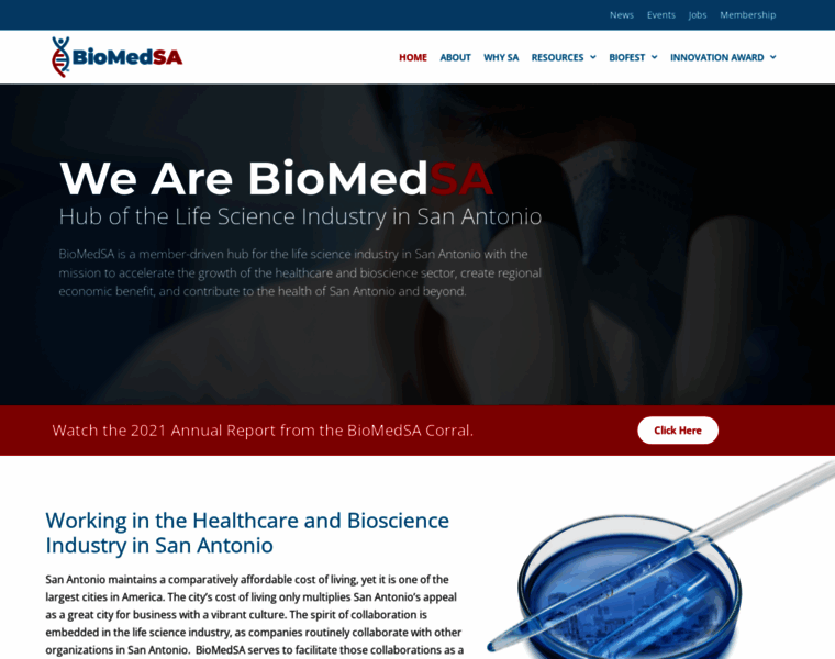 Biomedsa.org thumbnail
