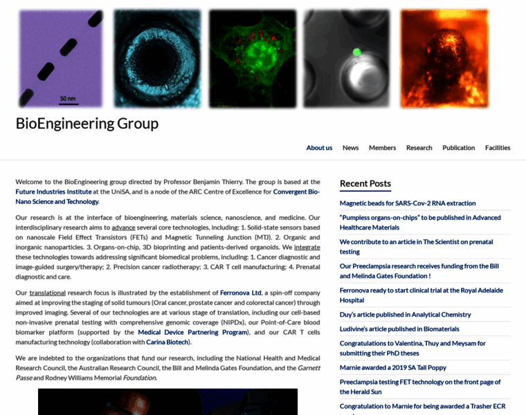 Bionanoengineering.com thumbnail