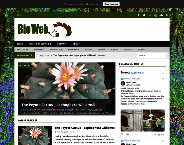 Bioweb.ie thumbnail